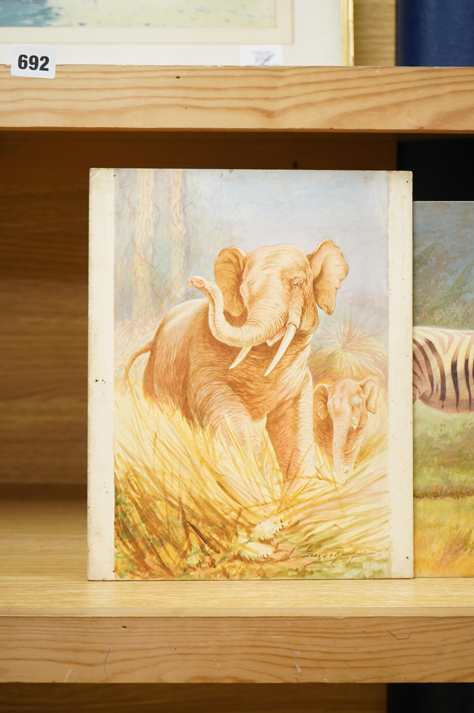 George James Rankin (1864-1937), a set of four original watercolours for postcard designs, Wildlife comprising camels, zebras, elephants and giraffes, each signed, unframed, largest 27 x 37cm